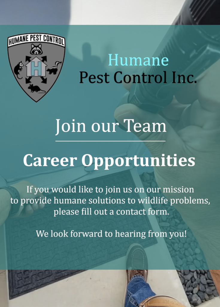 career_image - second image career_image - second image